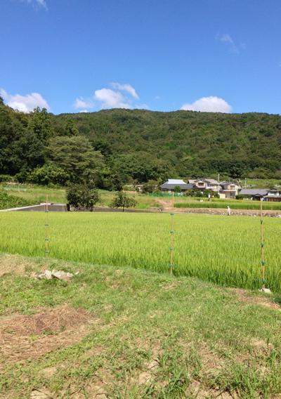 b0299869_2040471.jpg