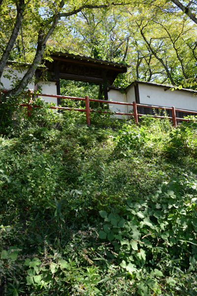 彦根なら彦根城よりすごい？！謎の城・佐和山遊園（珍スポット）_e0171573_18523174.jpg