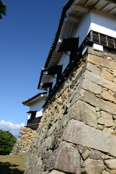 彦根城写真_e0171573_19101868.jpg