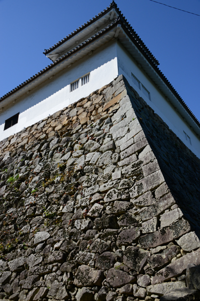 彦根城写真_e0171573_19105068.jpg