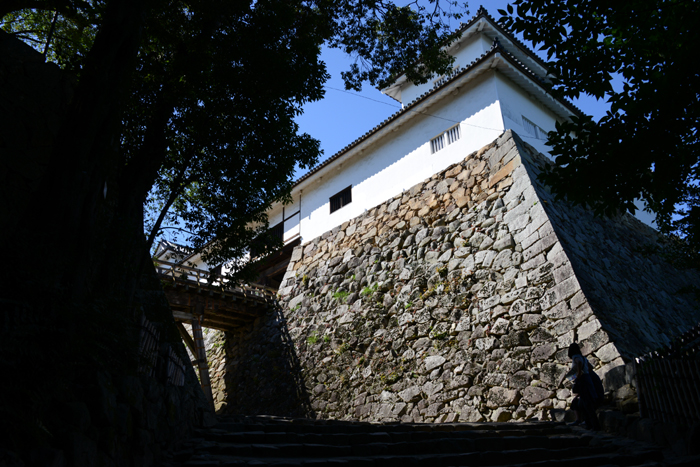 彦根城写真_e0171573_19105872.jpg