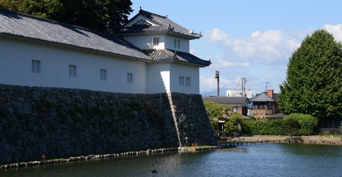 彦根城写真_e0171573_1914401.jpg
