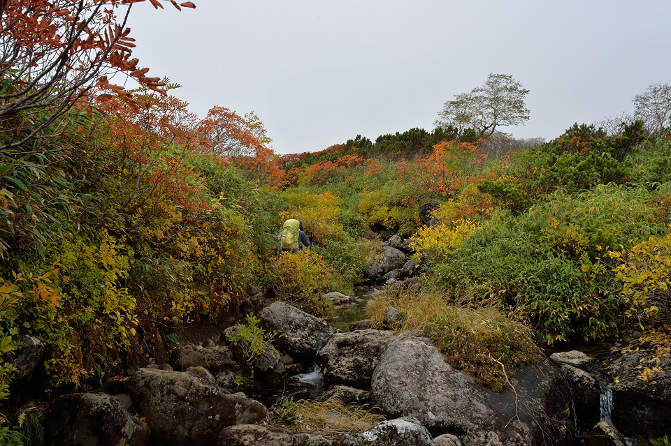 紅葉の旅　Day 1　忠別避難小屋まで_f0109977_13104343.jpg