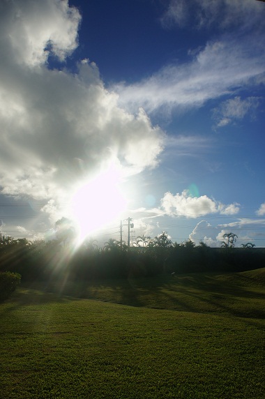 f0214479_21123623.jpg