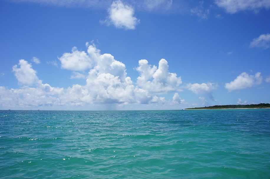 f0214479_21164329.jpg