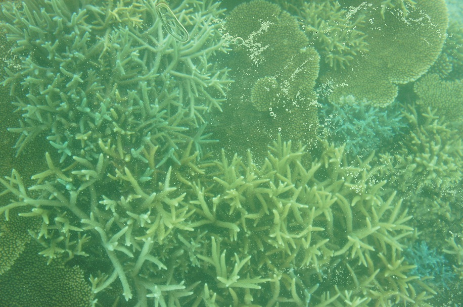 f0214479_21173585.jpg