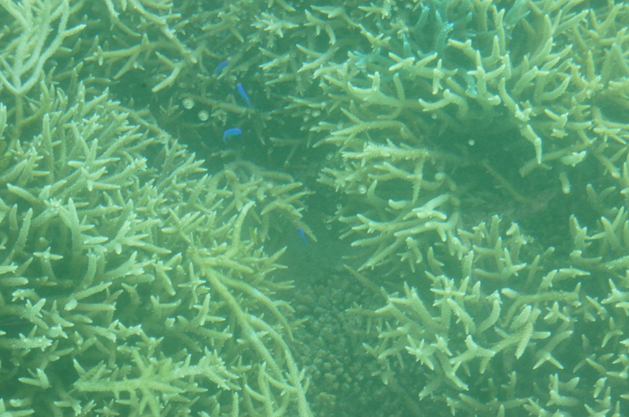 f0214479_21183056.jpg