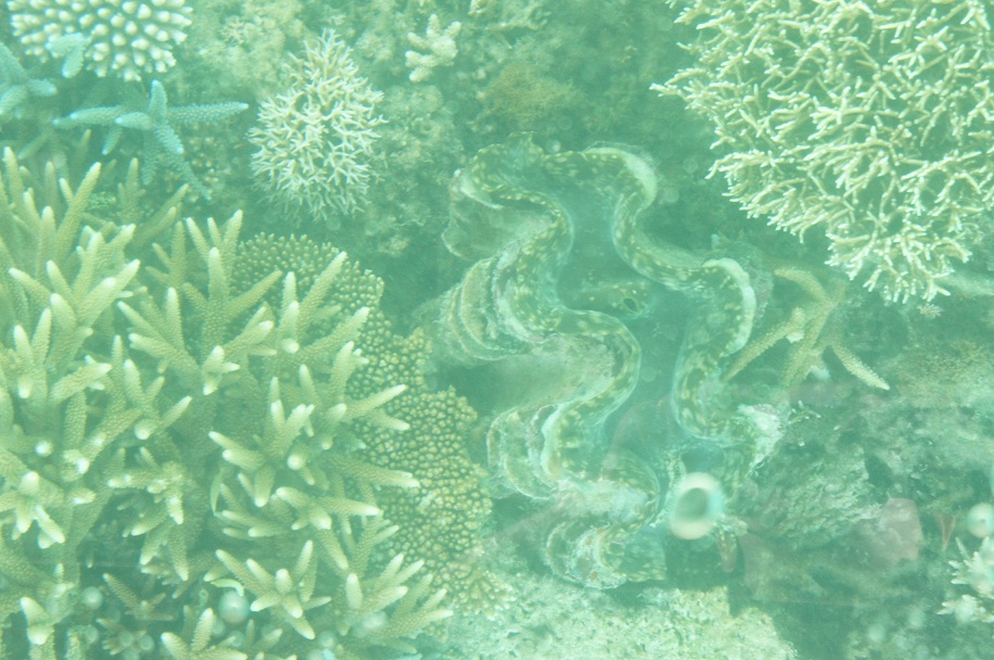 f0214479_21205100.jpg
