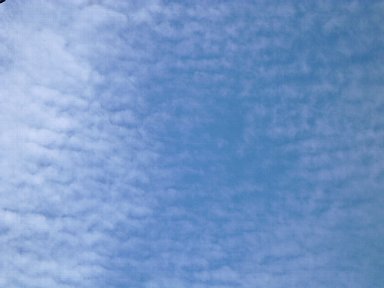 b0075888_96759.jpg