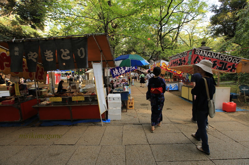 氷川神社_b0195589_243210.jpg