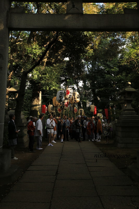 氷川神社_b0195589_251369.jpg