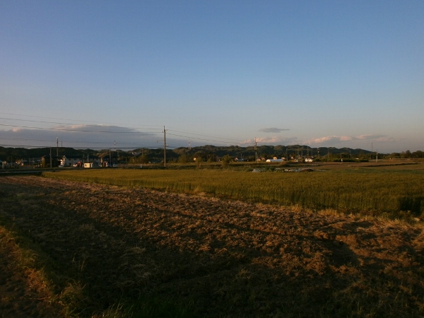 d0000995_2325049.jpg