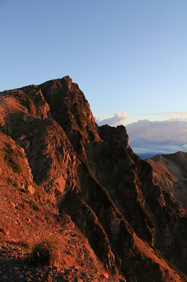 a0158702_7502431.jpg