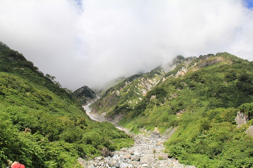 9月になっても・・・花咲く北アルプス・白馬岳❀①前編_a0158702_754094.jpg