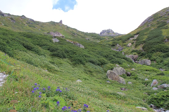 9月になっても・・・花咲く北アルプス・白馬岳❀①前編_a0158702_835053.jpg