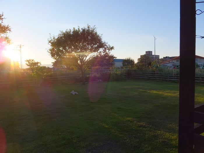 稚内 旅人村(ダビッドソン)へ 行こう!_c0226202_22204679.jpg