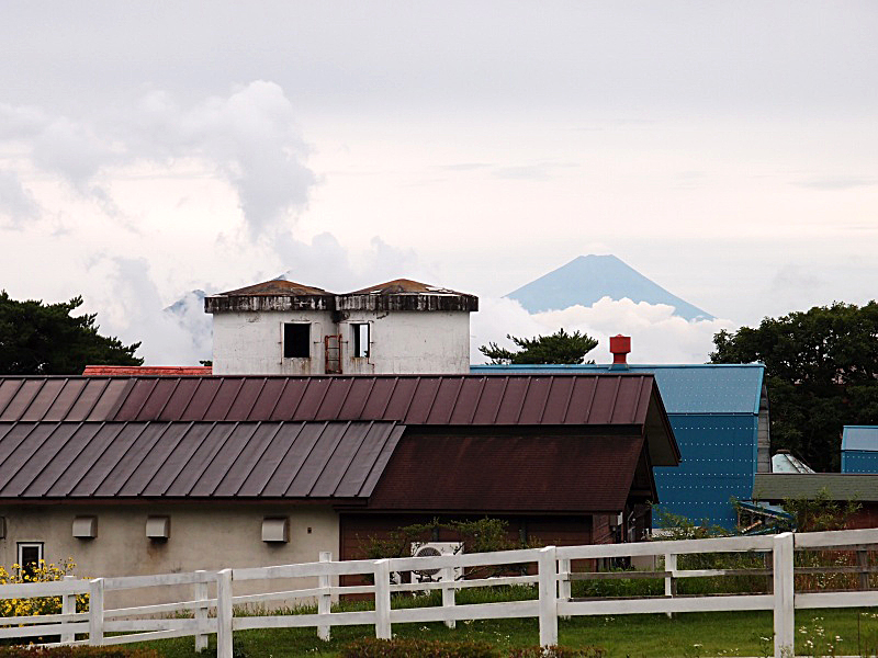 e0039703_23321541.jpg