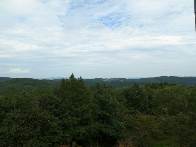 f0197703_16344326.jpg