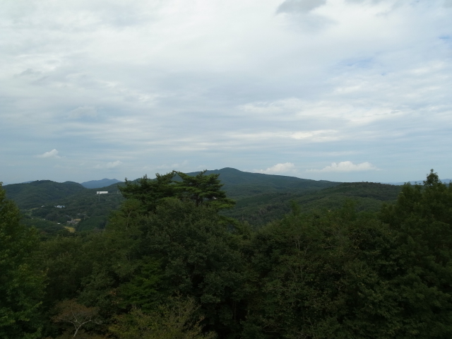 f0197703_1635522.jpg