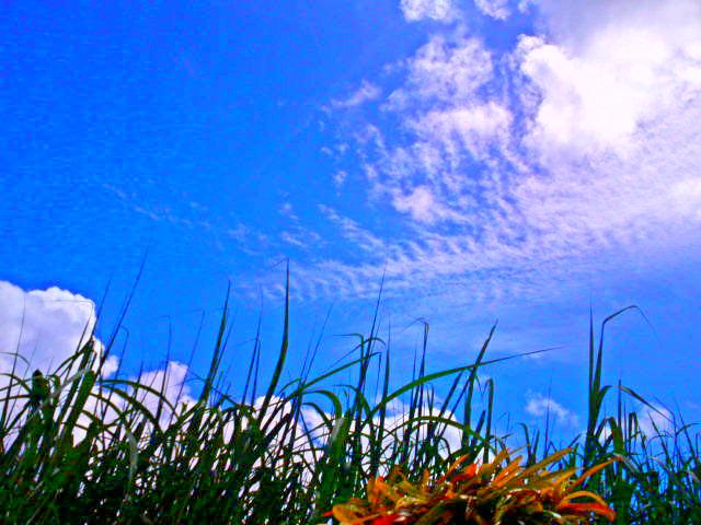 a0116010_20192057.jpg