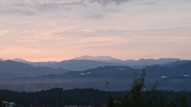 d0081210_85408.jpg