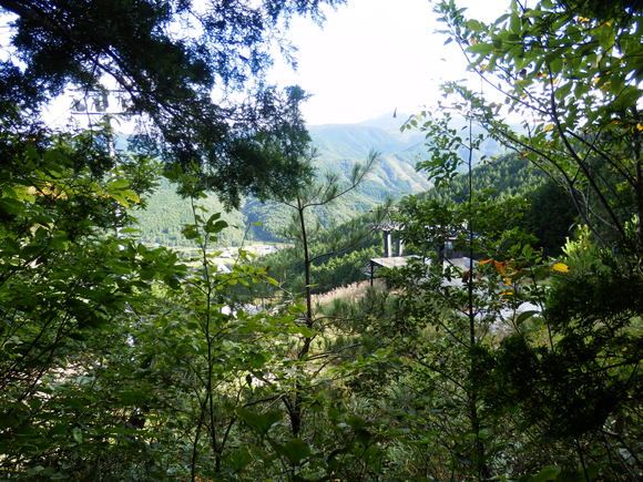 f0219710_7184036.jpg