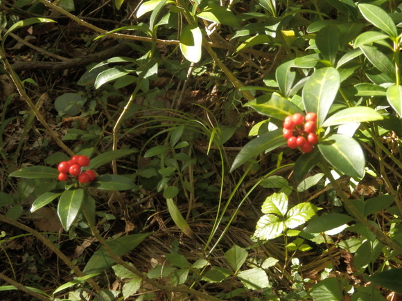 f0219710_7263048.jpg