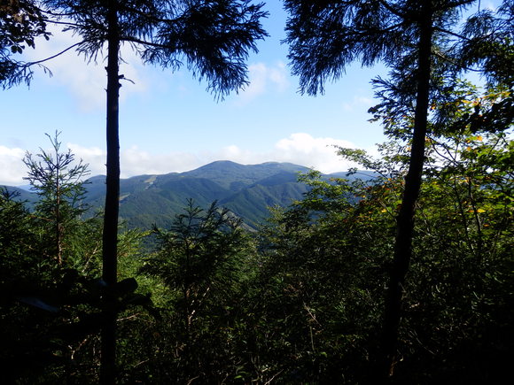 f0219710_7292412.jpg