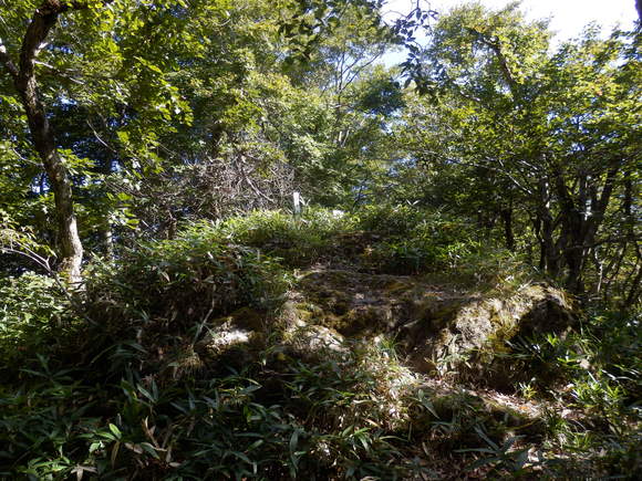 f0219710_7313438.jpg