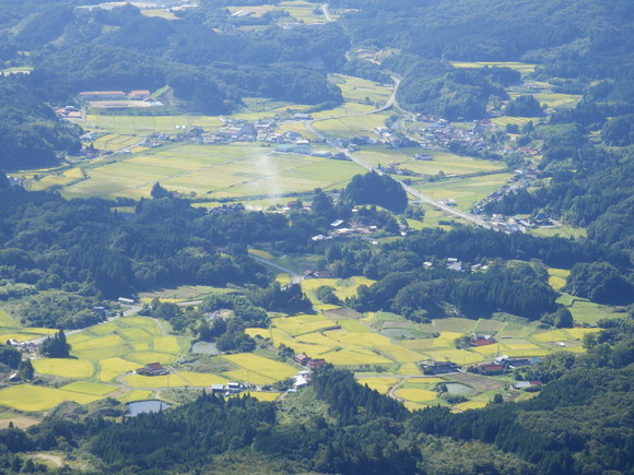 f0219710_737232.jpg