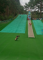 c0315313_21331200.jpg
