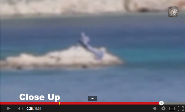 人魚の新たなる証拠「Mermaid New Evidence」：あの二人がテレビに登場！？_e0171614_1537855.png