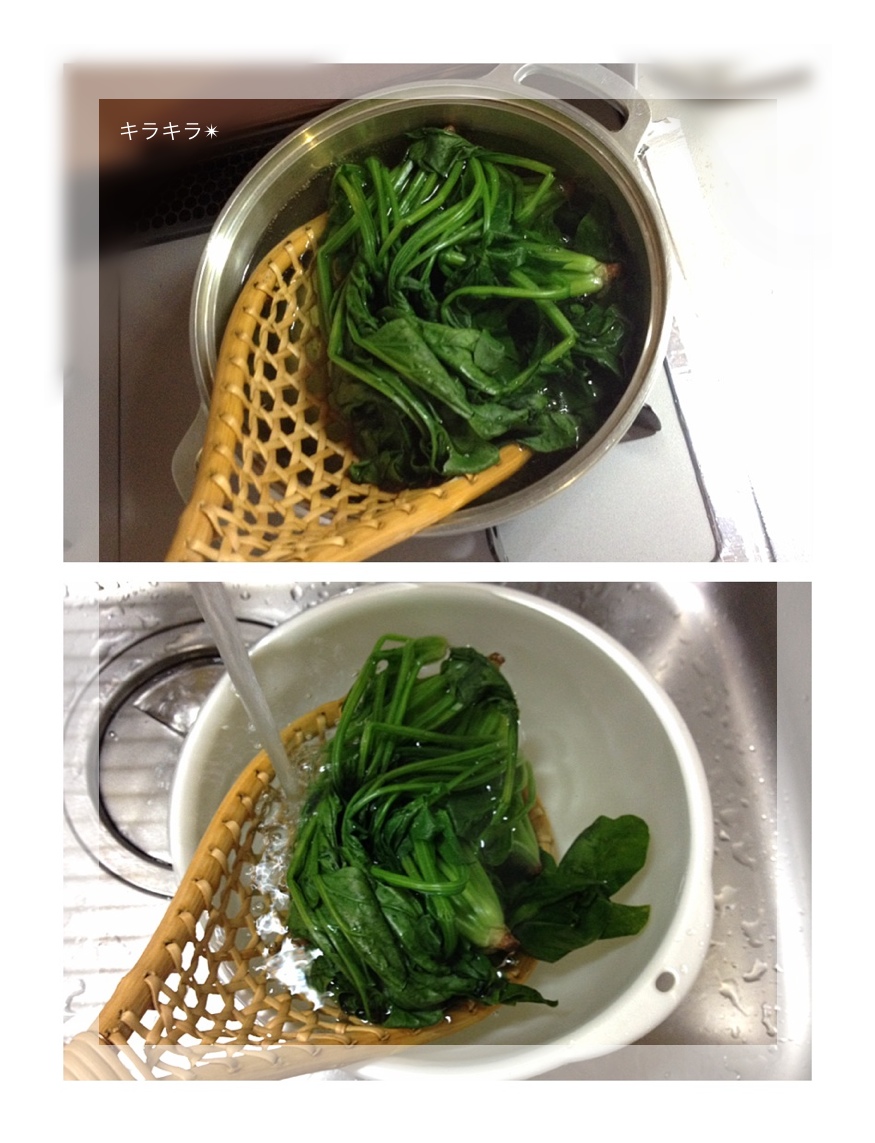マタタビのすいのう_f0354014_21444121.jpg