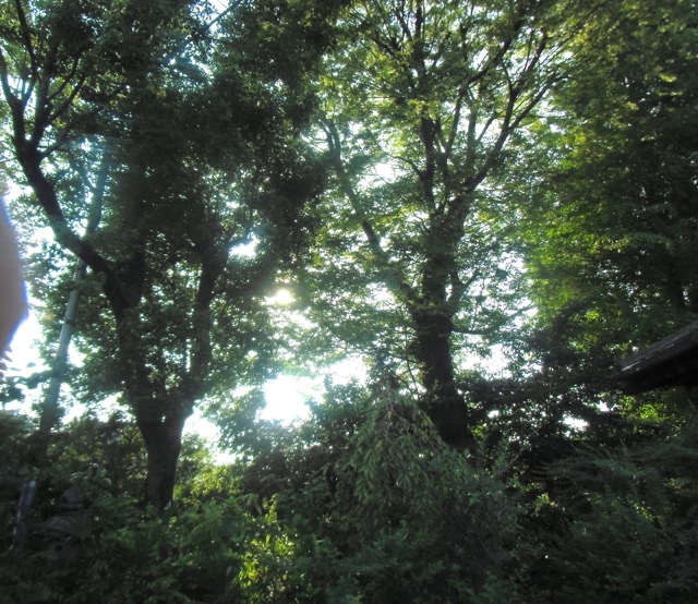 b0181015_22444568.jpg
