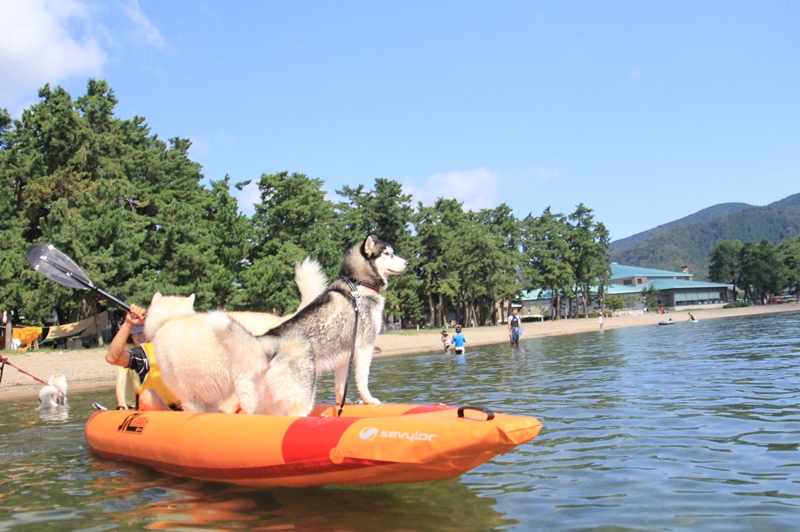 琵琶湖でカヌーに初挑戦!!_b0207615_23361002.jpg