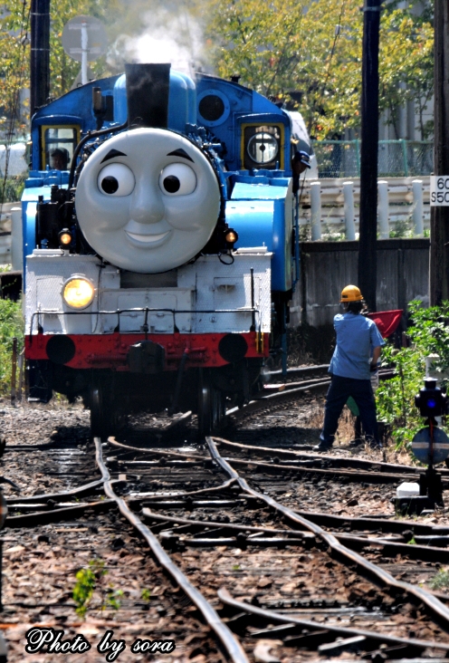 大井川鉄道 千頭駅で転車台に乗るトーマス と ヒロとトーマス 麻呂犬写真館 Mamiphon 大井川鉄道 千頭駅で転車台に乗るトーマス と ヒロとトーマス 麻呂犬写真館 Mamiphon