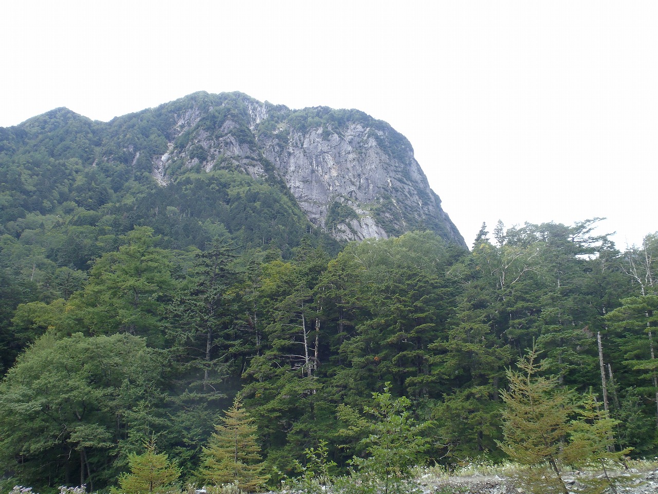 e0171018_138676.jpg