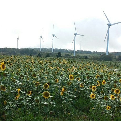 d0180920_11193480.jpg