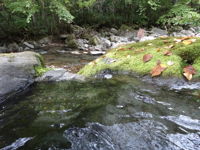 c0141223_18505249.jpg