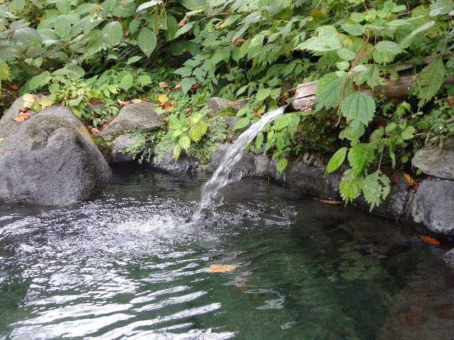 c0141223_18531221.jpg