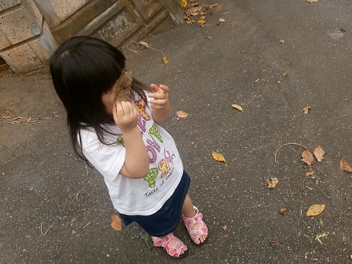 枝豆と桜海老のご飯。_c0095925_15592866.jpg