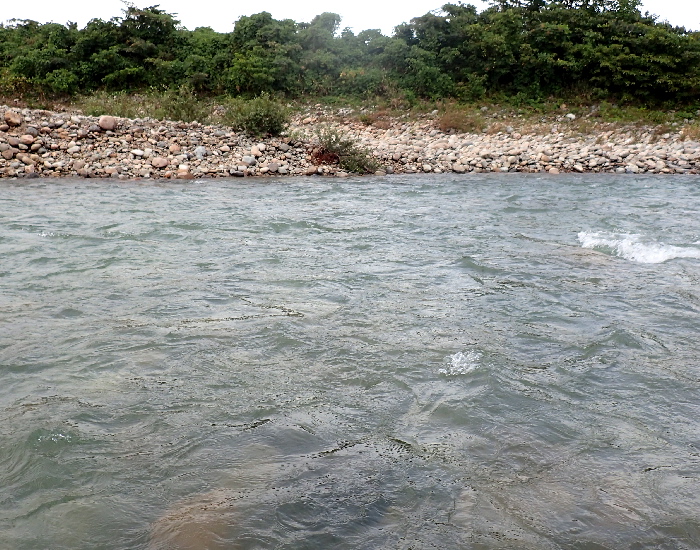 f0103126_21574344.jpg