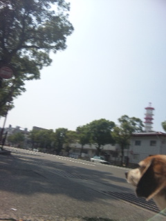 e0119327_18331587.jpg