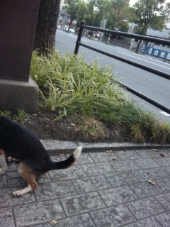 e0119327_18372297.jpg