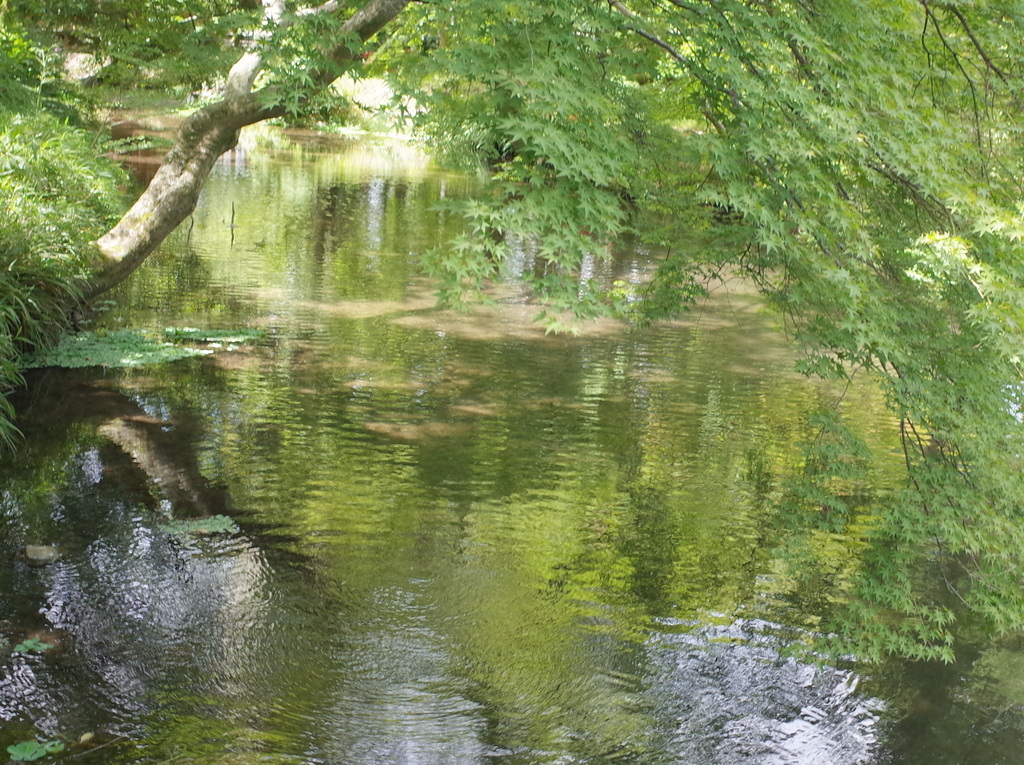 a0063128_17411276.jpg