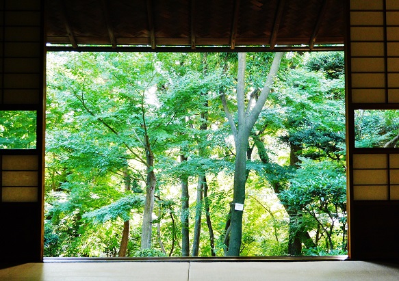 f0231829_20324871.jpg