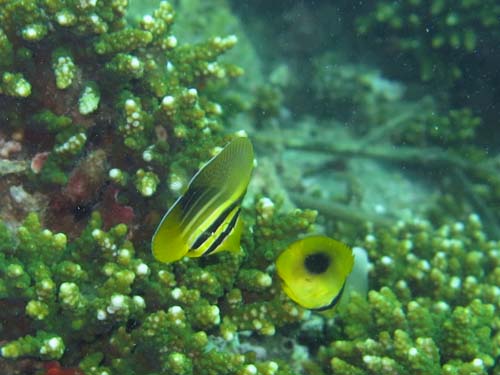 2014年9月17日(水・晴れ)甲浦_d0164831_16272257.jpg