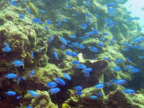 2014年9月17日(水・晴れ)甲浦_d0164831_1627431.jpg