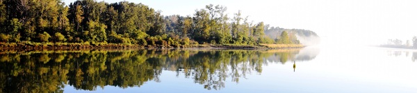 Deas Island Regional Park_e0032933_127867.jpg