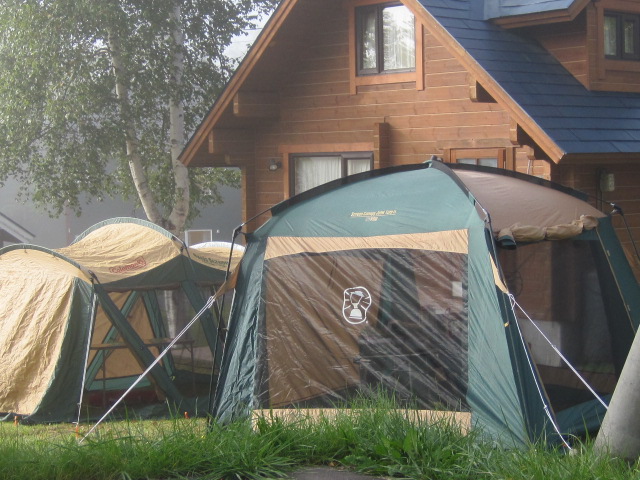c0265837_231669.jpg